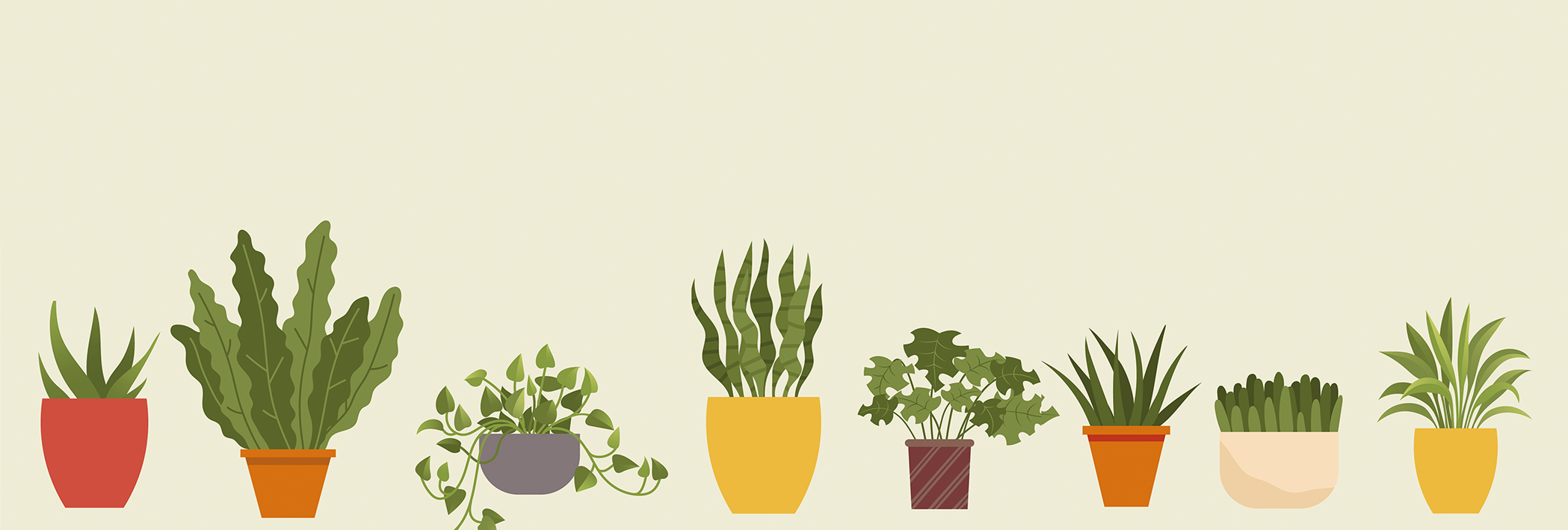Ausgabe Börsen für den Garten Cover von Bio Magazin Börsen für den Garten