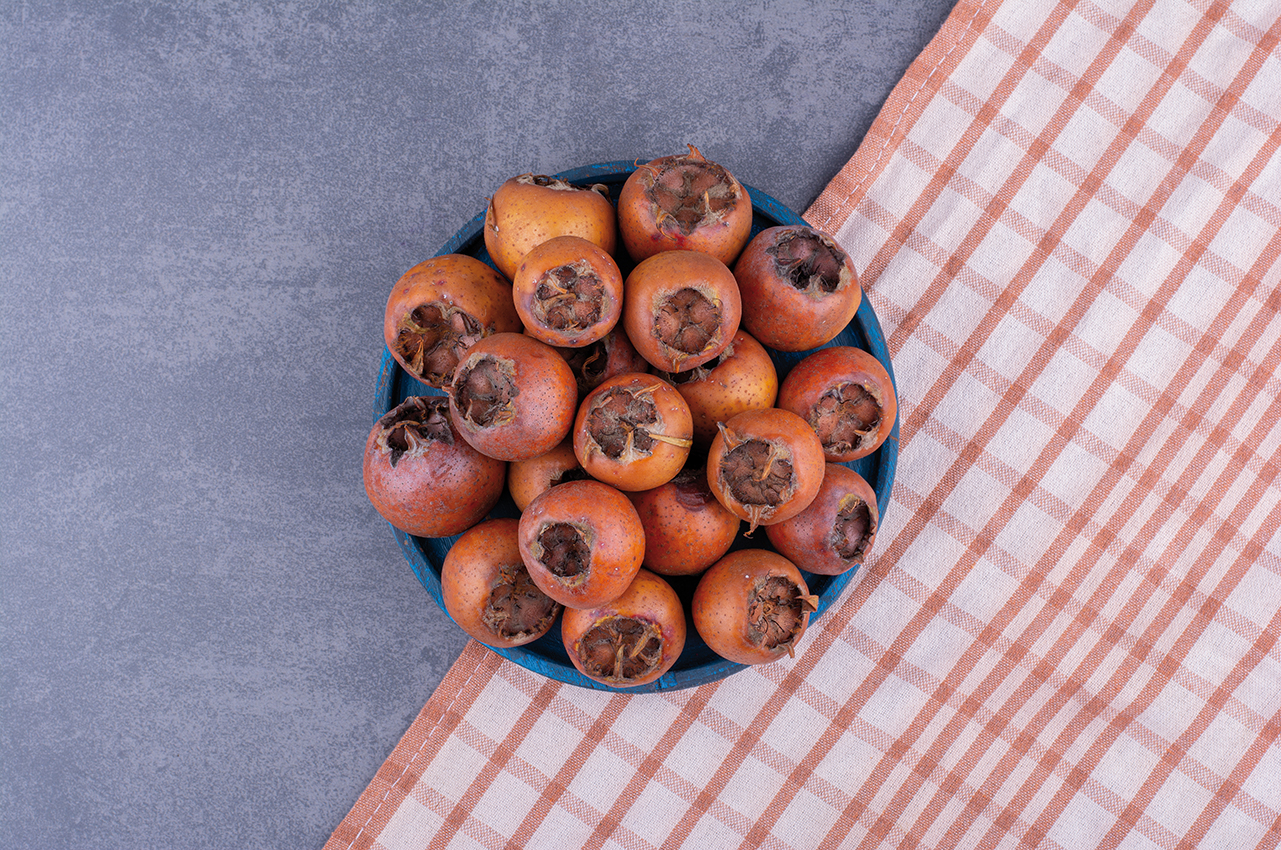 Cover von Bio Magazin Alt, aber gut: die Mispel