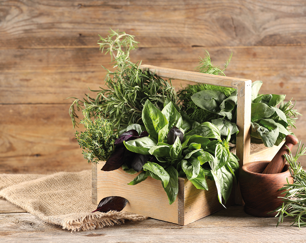 Cover von Bio Magazin Die volle Schatzkiste der Natur