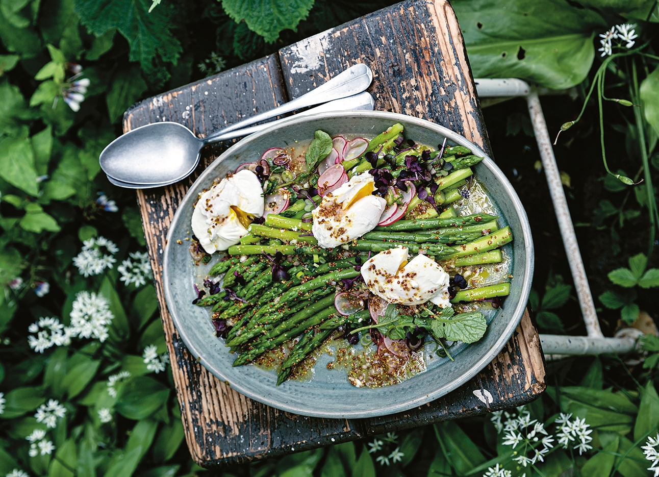 Cover von Bio Magazin Grüner Spargel