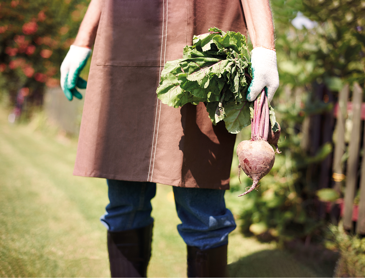 Cover von Bio Magazin Vom Garten auf den Teller