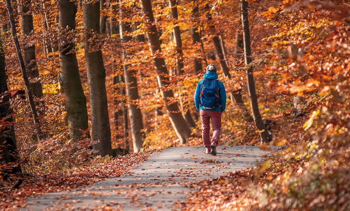 Ausgabe Gesund im Herbst Cover von Bio Magazin Gesund im Herbst