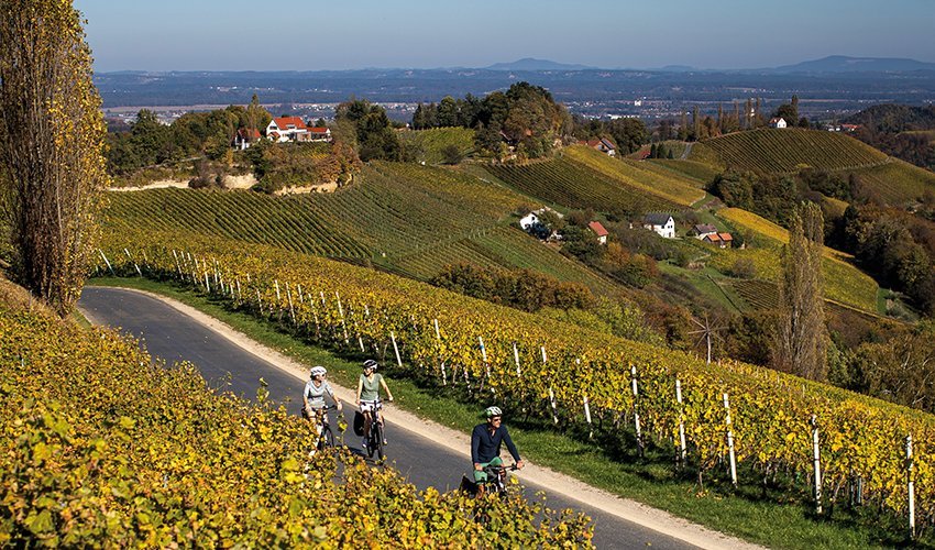 Cover von Bio Magazin In die Gänge kommen