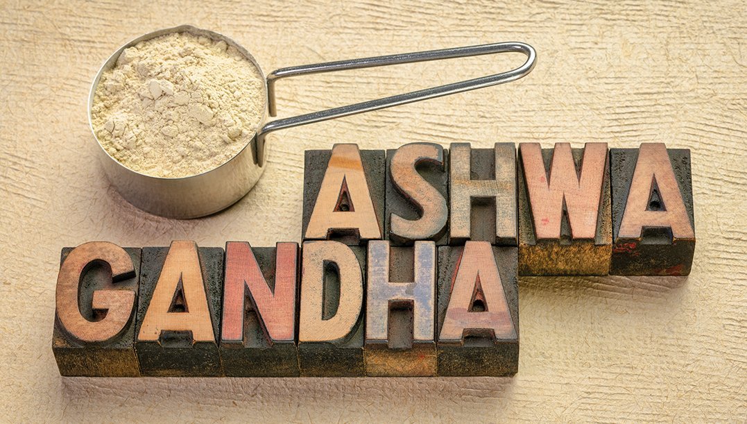 Cover von Bio Magazin Die Königin des Ayurveda