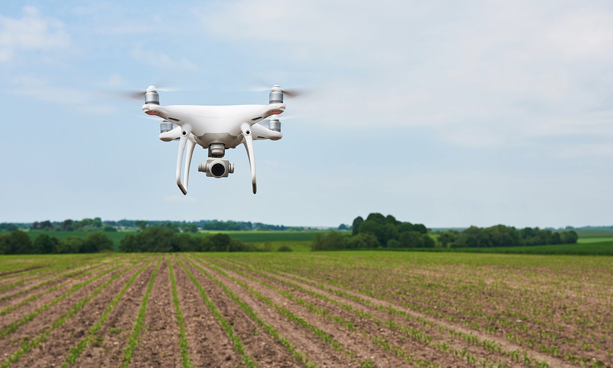 Ausgabe KI + KLIMA – Eine neue Allianz? Cover von Bio Magazin KI + KLIMA – Eine neue Allianz?